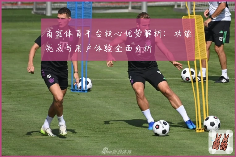 南宫体育平台核心优势解析：功能亮点与用户体验全面分析